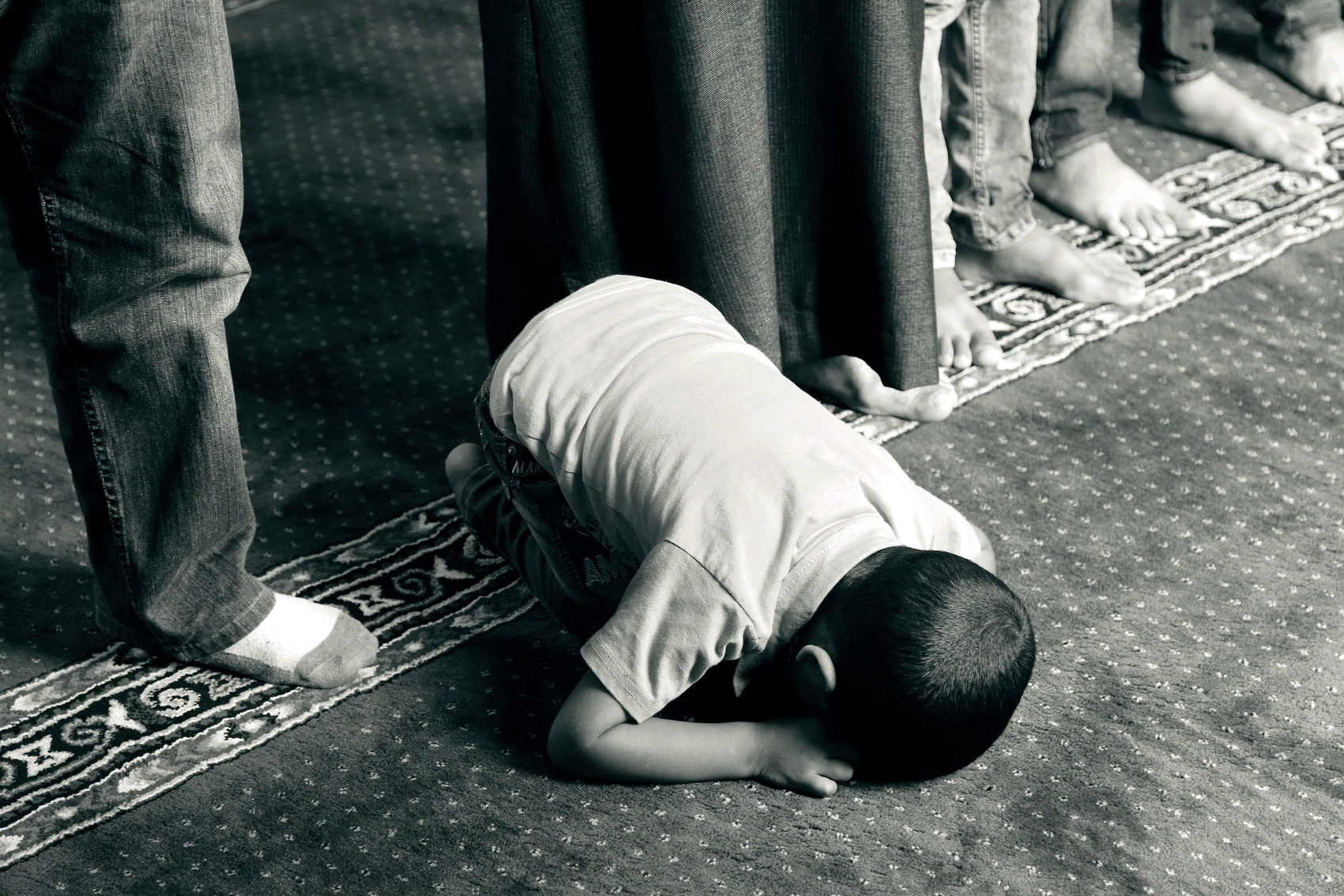 Photo of the day